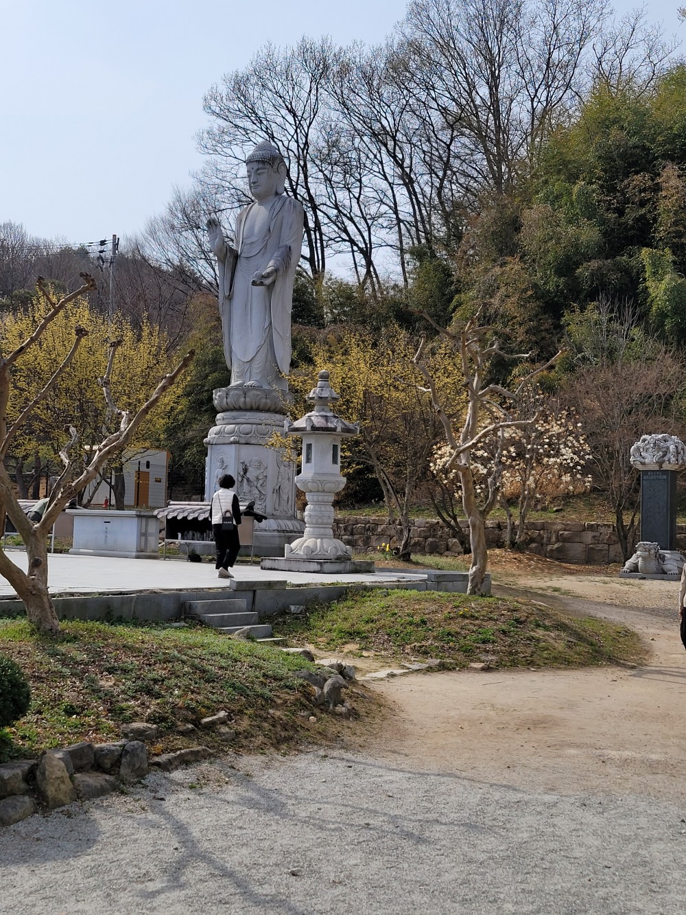 d705d717d2a44dc576417daee50556be_1680489546_5233.jpg